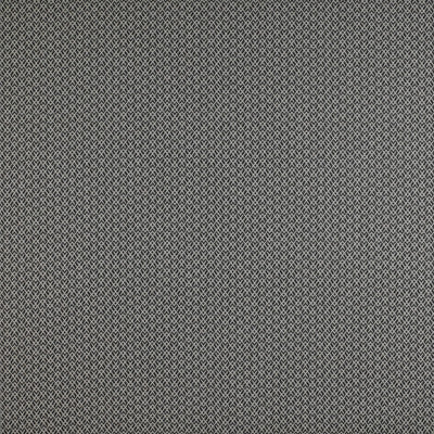 Chueca Onyx by Gaston Y Daniela Designer Fabric