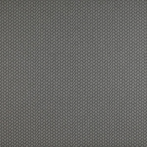 Chueca Onyx by Gaston Y Daniela Designer Fabric