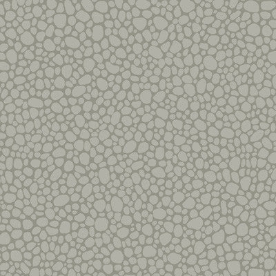 Pebble Grey by Cole & Son Designer Wallcovering