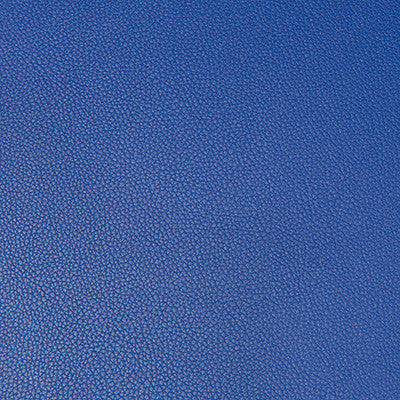 Syrus Ultramarine by Kravet Contract Designer Fabric
