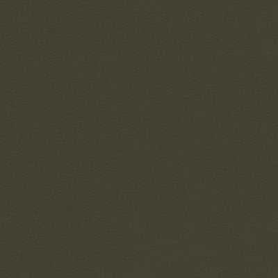 Kravet Contract Berta-21 by Kravet Contract Designer Fabric