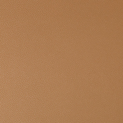 Syrus Saddle by Kravet Contract Designer Fabric