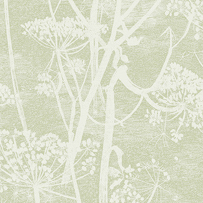 Cow Parsley Olive by Cole & Son Designer Wallcovering