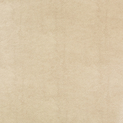 Kravet Design Beholder-116 by Kravet Design Designer Fabric