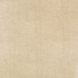 Kravet Design Beholder-116 by Kravet Design Designer Fabric