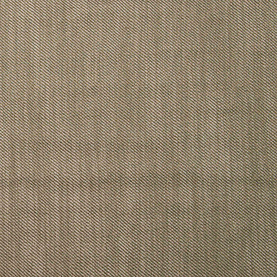 Victoria Verde by Gaston Y Daniela Designer Fabric