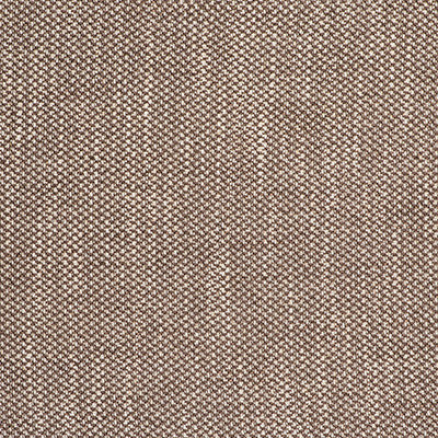 Acacia Tostado by Gaston Y Daniela Designer Fabric