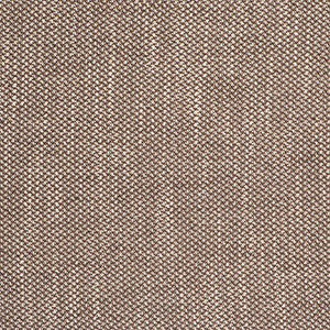 Acacia Tostado by Gaston Y Daniela Designer Fabric