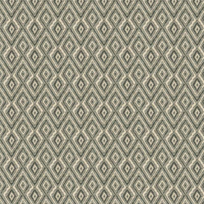 Kravet Design 33881-1611 by Kravet Design Designer Fabric