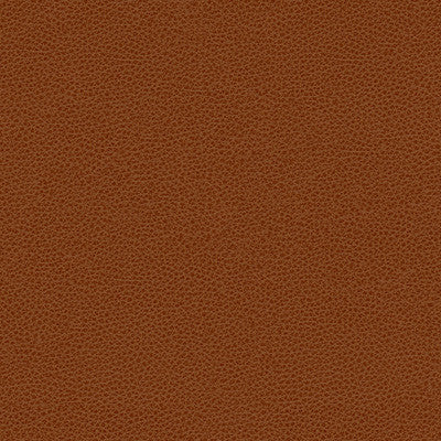 Kravet Smart Rigel-24 by Kravet Design Designer Fabric