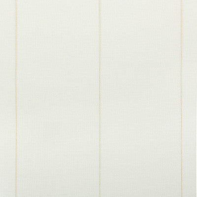 Almada 1 by Gaston Y Daniela Designer Fabric