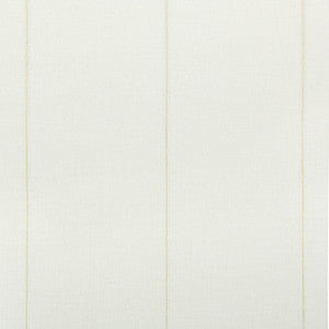 Almada 1 by Gaston Y Daniela Designer Fabric