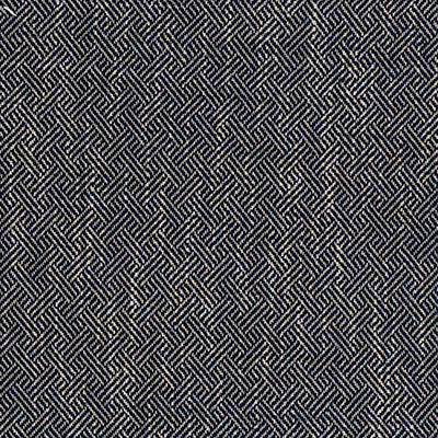 Enea Navy by Gaston Y Daniela Designer Fabric