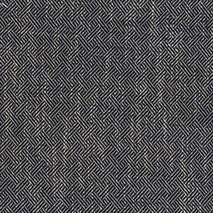 Enea Navy by Gaston Y Daniela Designer Fabric