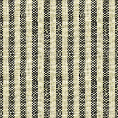 Kravet Basics 34080-81 by Kravet Basics Designer Fabric