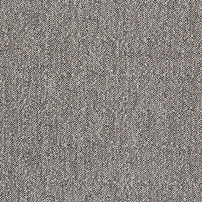 In Gris by Gaston Y Daniela Designer Fabric