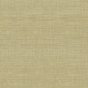 Kravet Couture 34014-16 by Kravet Couture Designer Fabric