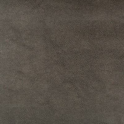 Kravet Design Dust-21 by Kravet Design Designer Fabric