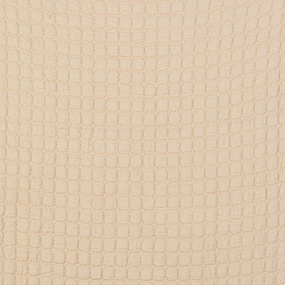 Morera Crudo by Gaston Y Daniela Designer Fabric