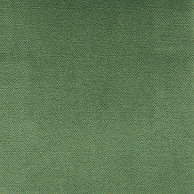 Venecia Verde by Gaston Y Daniela Designer Fabric