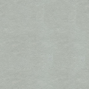 Alina-11 by Kravet Smart Designer Fabric