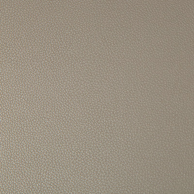Syrus Driftwood by Kravet Contract Designer Fabric