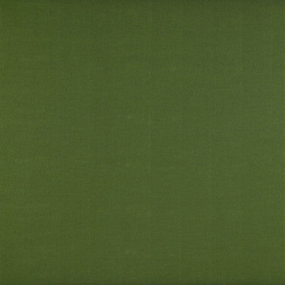 Recoletos Verde by Gaston Y Daniela Designer Fabric