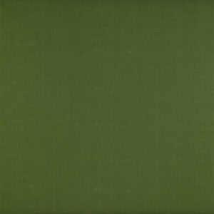 Recoletos Verde by Gaston Y Daniela Designer Fabric