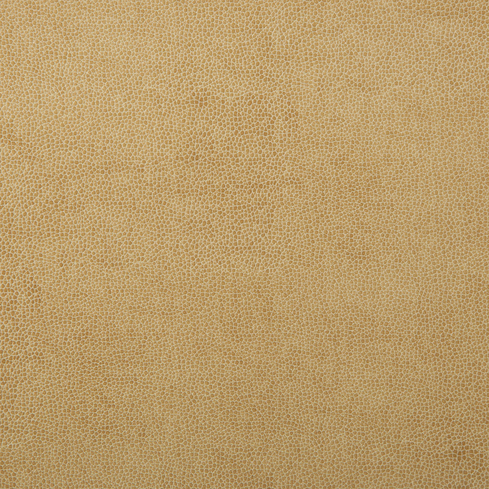 Kravet Design Sparta-1 by Kravet Design Designer Fabric