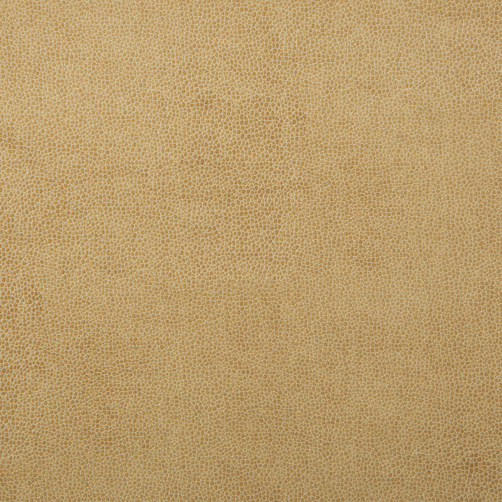 Kravet Design Sparta-1 by Kravet Design Designer Fabric