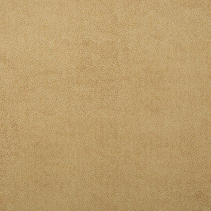 Kravet Design Sparta-1 by Kravet Design Designer Fabric