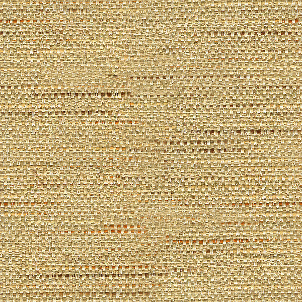 Satara Camel by Baker Lifestyle Designer Fabric