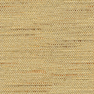 Satara Camel by Baker Lifestyle Designer Fabric