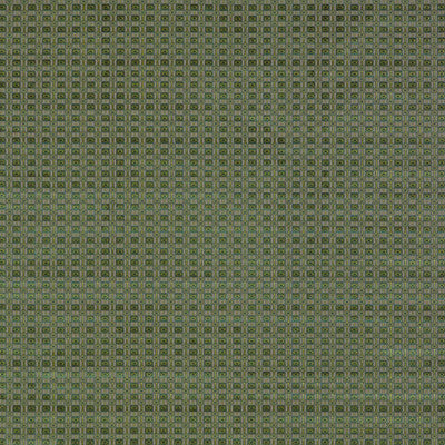 Ines Verde by Gaston Y Daniela Designer Fabric