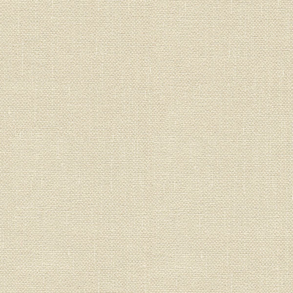 Kravet Basics 33120-1116 by Kravet Basics Designer Fabric