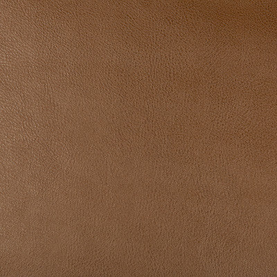 Kravet Design Dust-6 by Kravet Design Designer Fabric
