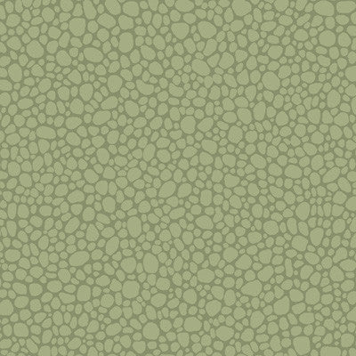 Pebble Dark Olive by Cole & Son Designer Wallcovering
