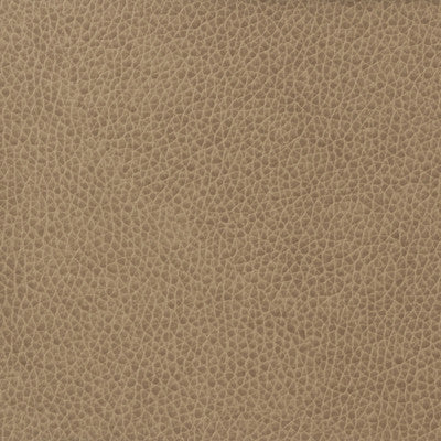 Kravet Basics Matter-1611 by Kravet Basics Designer Fabric
