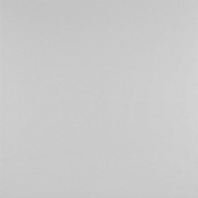 Recoletos Crudo by Gaston Y Daniela Designer Fabric