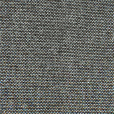 Panama Onyx by Gaston Y Daniela Designer Fabric