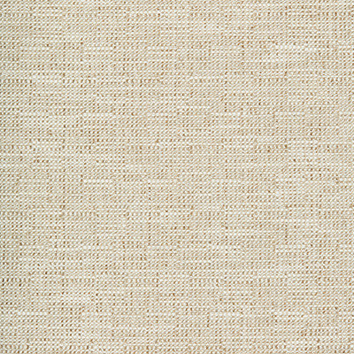 Kravet Smart 35518-106 by Kravet Smart Designer Fabric