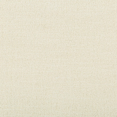 Adaptable Ivory by Kravet Design Designer Fabric