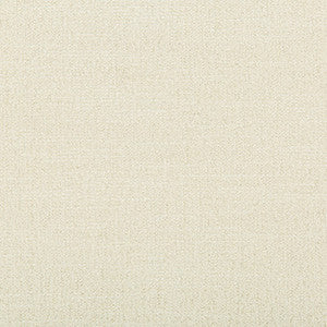 Adaptable Ivory by Kravet Design Designer Fabric