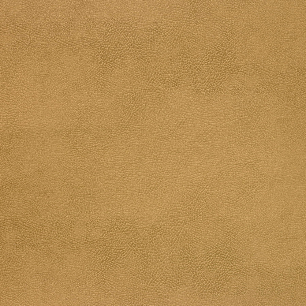 Kravet Design Caswell-4 by Kravet Design Designer Fabric