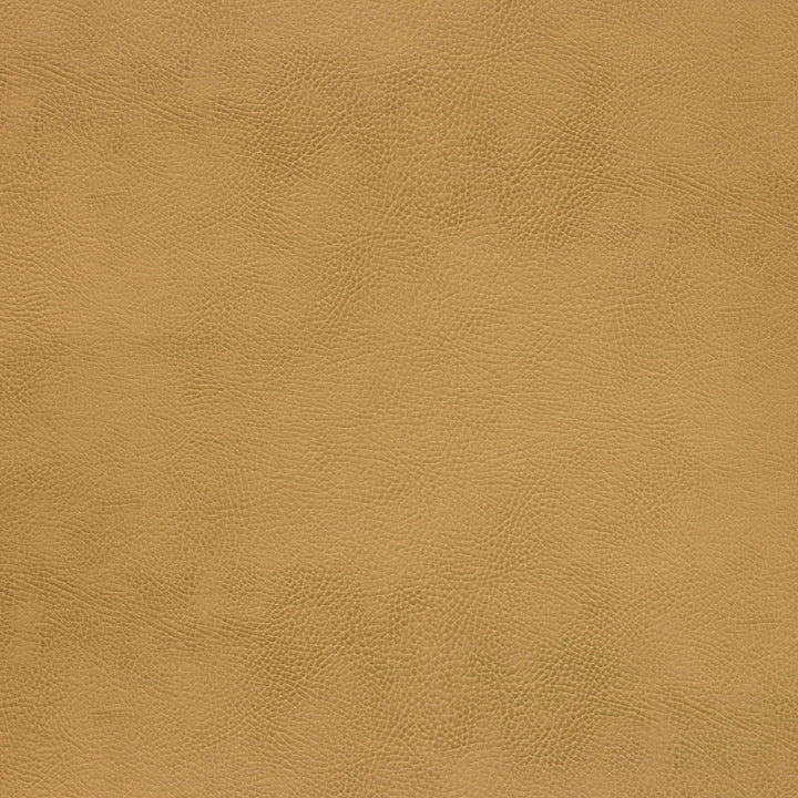 Kravet Design Caswell-4 by Kravet Design Designer Fabric