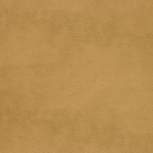 Kravet Design Caswell-4 by Kravet Design Designer Fabric