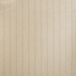 Nile Powder by Kravet Couture Designer Fabric
