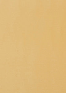 Milborne Sunshine by Baker Lifestyle Designer Fabric