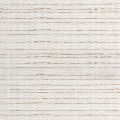 Kravet Basics 4302-16 by Kravet Basics Designer Fabric