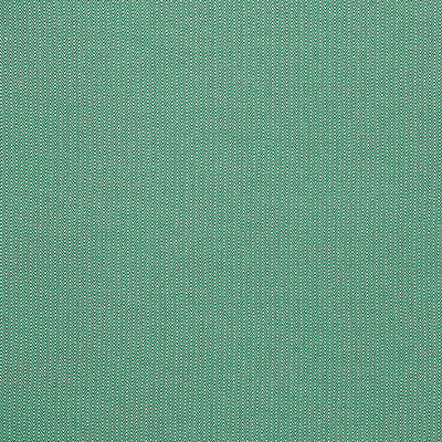 Donald Verde by Gaston Y Daniela Designer Fabric